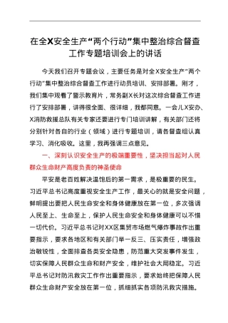 在全X安全生产“两个行动”集中整治综合督查工作专题培训会上的讲话.doc