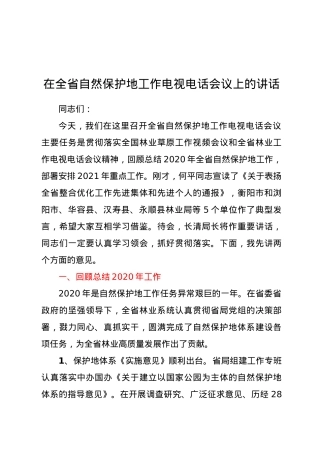 在全省自然保护地工作电视电话会议上的讲话.docx