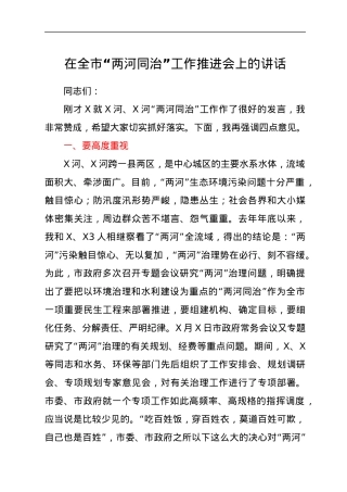 在全市“两河同治”工作推进会上的讲话.docx