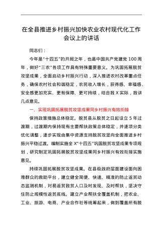 在全县推进乡村振兴加快农业农村现代化工作会议上的讲话.docx