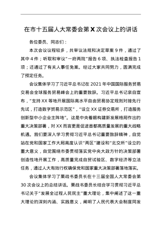 在市十五届人大常委会第X次会议上的讲话 .doc