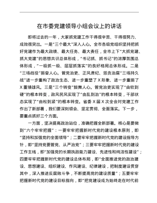 在市委党建领导小组会议上的讲话.doc