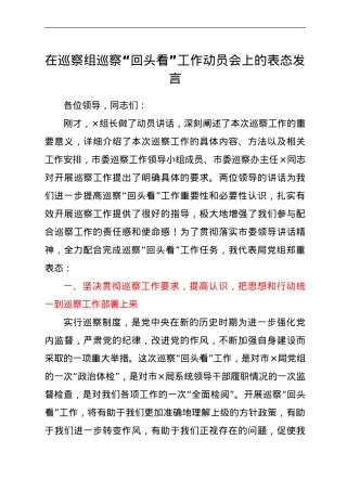 在巡察“回头看”工作动员会上的表态发言.doc