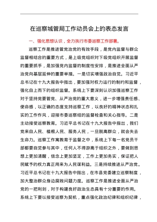 在巡察城管局工作动员会上的表态发言.doc