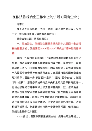 在依法依规治企工作会上的讲话（国企公司）.docx