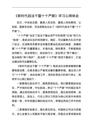 《新时代政法干警十个严禁》学习心得体会.doc