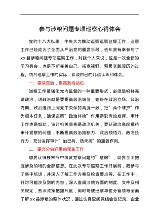 参与涉粮问题专项巡察心得体会.docx