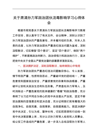 关于肃清孙力军政治团伙流毒影响学习心得体会.docx