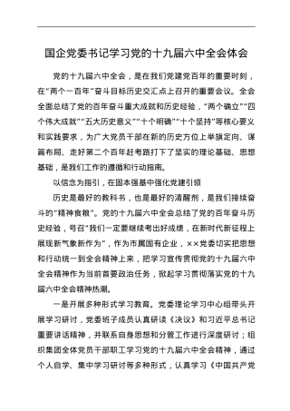 国企党委书记学习党的十九届六中全会体会.docx