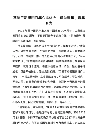 基层干部建团百年心得体会：何为青年，青年有为.docx