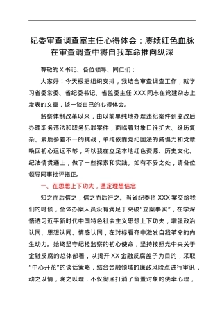 纪委审查调查室主任心得体会：赓续红色血脉 在审查调查中将自我革命推向纵深.docx