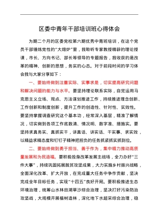 区委中青年干部培训班心得体会.docx