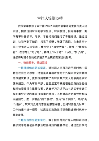 审计人培训心得.docx