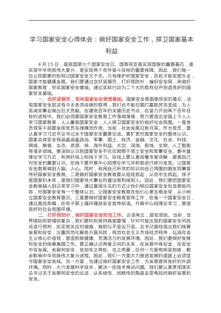 学习国家安全心得体会：做好国家安全工作，捍卫国家基本利益.docx