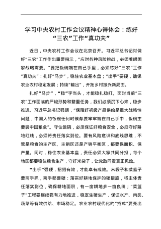 学习中央农村工作会议精神心得体会：练好“三农”工作“真功夫”.doc