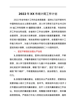 2022年XX市统计局工作计划.docx