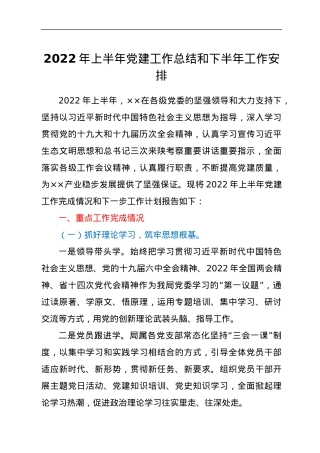 2022年上半年党建工作总结和下半年工作安排.docx