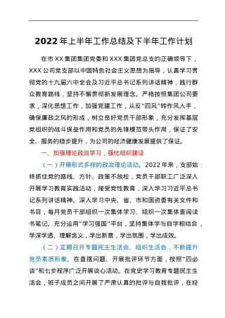 2022年上半年工作总结及下半年工作计划.docx