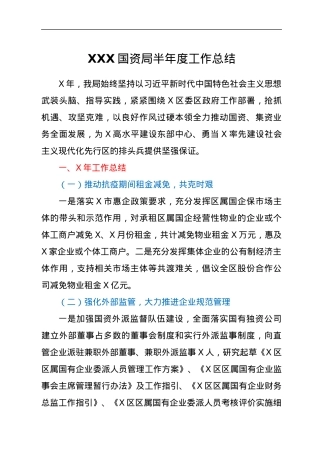 XXX国资局半年度工作总结.docx