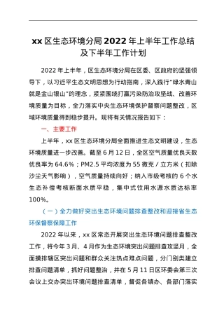 xx区生态环境分局2022年上半年工作总结及下半年工作计划.docx