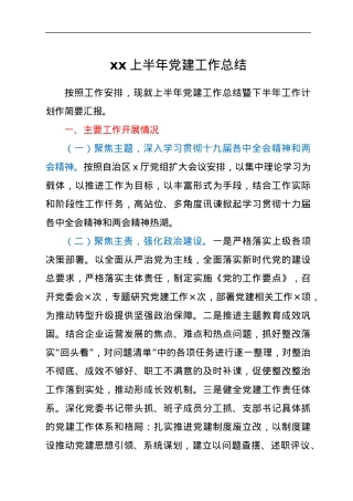 xx上半年党建工作总结.docx