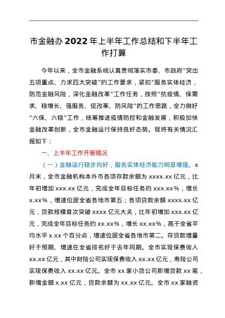 xx市金融办2022年上半年工作总结和下半年工作打算.docx