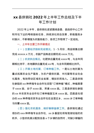 xx县供销社2022年上半年工作总结及下半年工作计划.docx