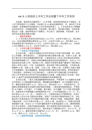 xx乡人民政府上半年工作总结暨下半年工作安排.docx