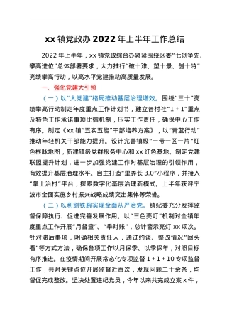 xx镇党政办2022年上半年工作总结.doc