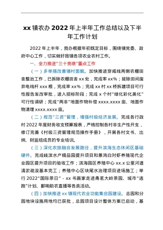 xx镇农办2022年上半年工作总结以及下半年工作计划.doc