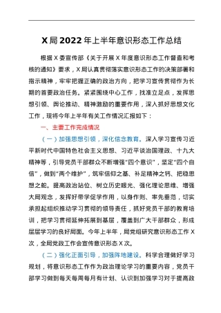 X局2022年上半年意识形态工作总结.docx