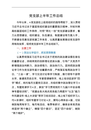 党支部上半年工作总结.doc