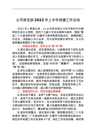 公司党支部2022年上半年党建工作总结.docx