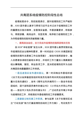 共青团系统疫情防控阶段性总结.docx