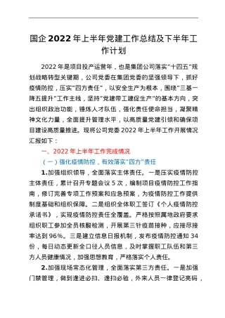 国企2022年上半年党建工作总结及下半年工作计划.doc