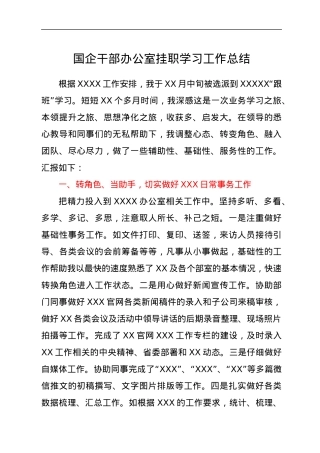 国企干部办公室挂职学习工作总结.docx