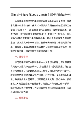 国有企业党支部2022年度主题党日活动计划.docx