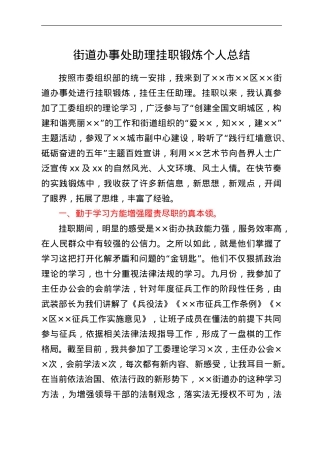 街道办事处助理挂职锻炼个人总结.doc
