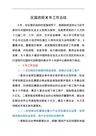 区国资局X年工作总结1.docx