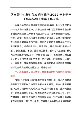区市管中心新时代文明实践所2022年上半年工作总结和下半年工作安排.docx