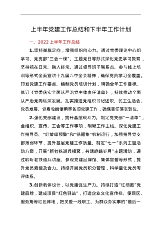 上半年党建工作总结和下半年工作计划.docx