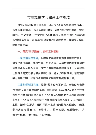 市局党史学习教育工作总结.docx