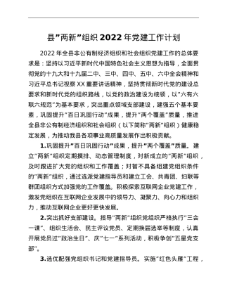 县”两新”组织2022年党建工作计划.doc