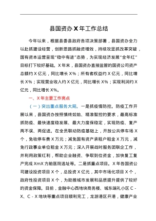 县国资办X年工作总结.docx
