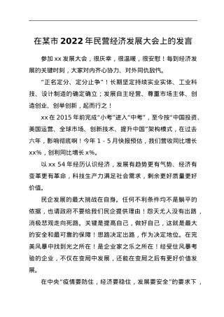 在某市2022年民营经济发展大会上的发言.docx