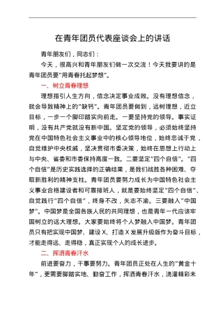 在青年团员代表座谈会上的讲话.doc