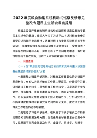2022年度粮食购销系统机动式巡察反馈意见整改专题民主生活会发言提纲.docx