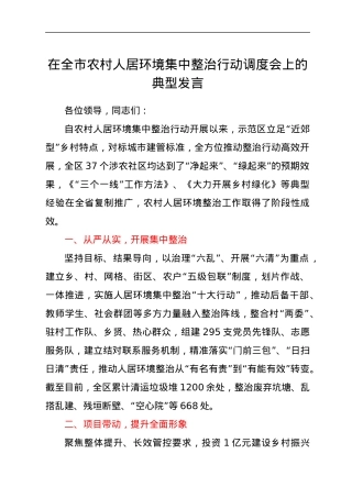 在全市农村人居环境集中整治行动调度会上的典型发言.docx