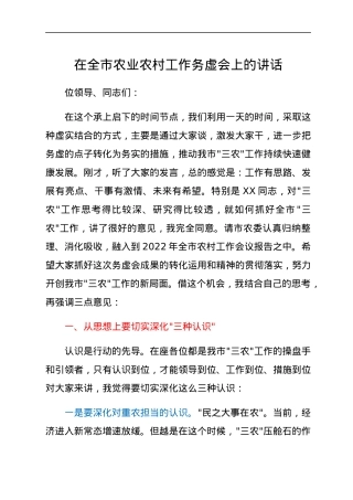 在全市农业农村工作务虚会上的讲话.docx