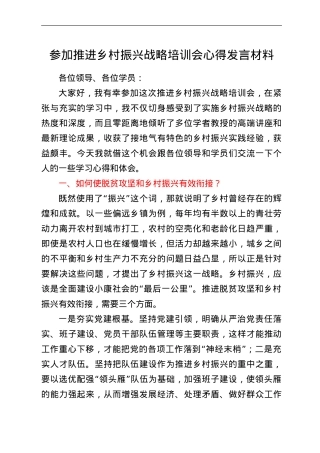 参加推进乡村振兴战略培训会心得发言材料.doc